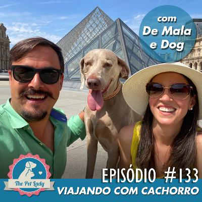 133 - Viajando com Cachorro