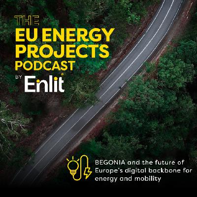 BEGONIA and the future of Europe’s digital backbone for energy and mobility
