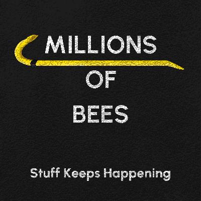 14 Million Bees
