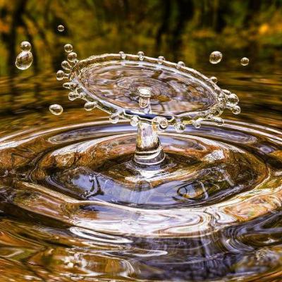 Estaremos hablando sobre el gran problema en el presente sobre la escases de agua