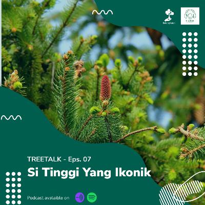 EPS.07 - Si Tinggi Yang Ikonik