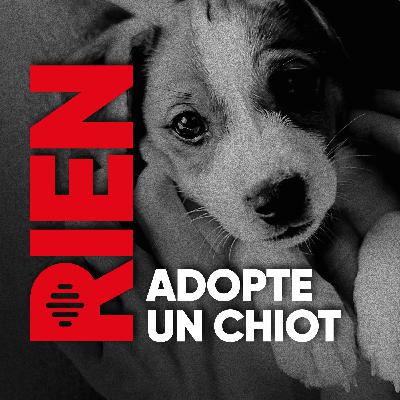 Adopte un chiot avec Juliette