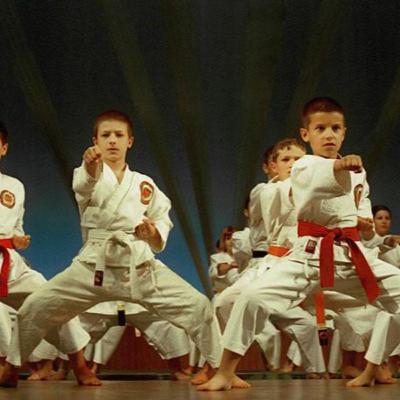 Есть ли в России национальный вид спорта? Стоит ли вводить в школы карате, самбо или другие виды единоборств?