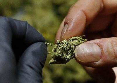 Milwaukee County officials in shock over health insurance lapse, new marijuana legislation