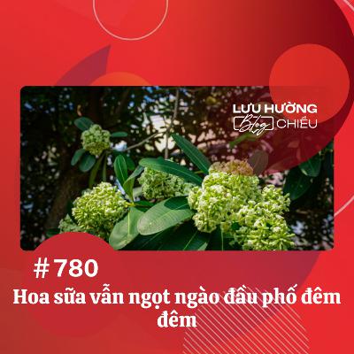 Hoa sữa vẫn ngọt ngào đầu phố đêm đêm | Lưu Hường blog chiều | Đài Hà Nội