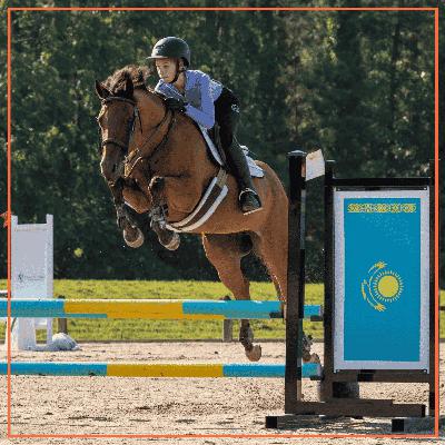 How to Plan a Horse Show Season w/Chloe Trueblood