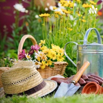 Top des 4 meilleurs astuces de jardinage