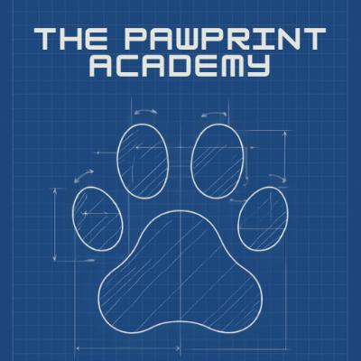 Jumping on People: Why Dogs Do It and How to Stop It Jumping on People: Why Dogs Do It and How to Stop It