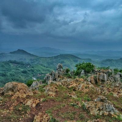 JANUR KUNING DI GUNUNG GEDE
