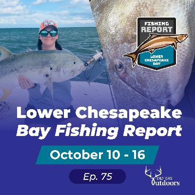 Sea Bass, Triggerfish & Pro Tips with Top Virginia Captains Sea Bass, Triggerfish & Pro Tips with Top Virginia Captains