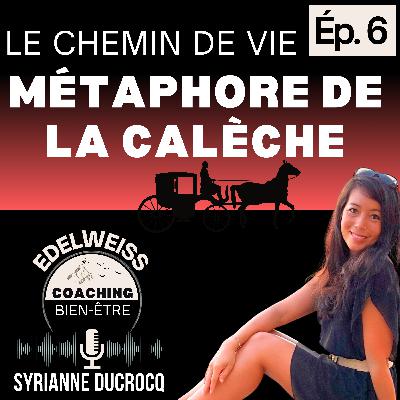 Chemin de vie : MÉTAPHORE de la CALÈCHE _ Épisode 6 Chemin de vie : MÉTAPHORE de la CALÈCHE _ Épisode 6