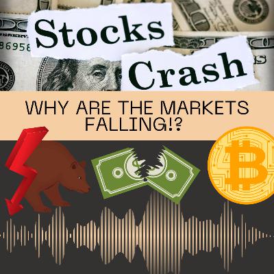 WHY ARE THE MARKETS FALLING!? WHY ARE THE MARKETS FALLING!?
