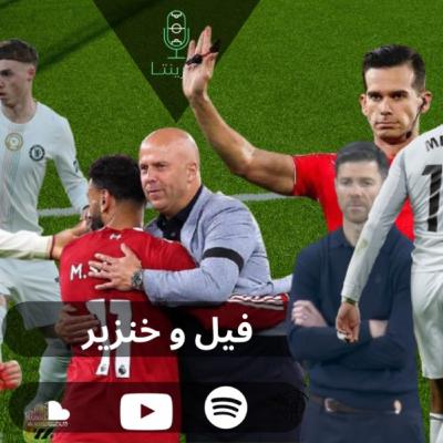 فيل و خنزير فيل و خنزير