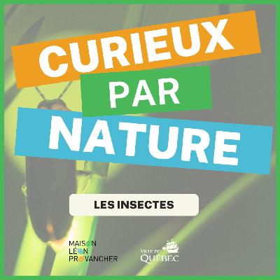 Curieux par Nature: Le monde des insectes