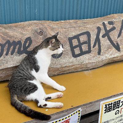 Slowly Japanese by a Trilingual Dad, やさしいニホンゴ:A larger than B, AよりBが おおきい Slowly Japanese by a Trilingual Dad, やさしいニホンゴ:A larger than B, AよりBが おおきい