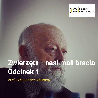 Świat zwierząt - zwierzęta w naszej modlitwie.