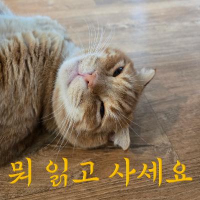 뭐 읽고 사세요? 뭐읽사 2회 : 파베세의 마지막 여름, 미디어의 지질학, 미망