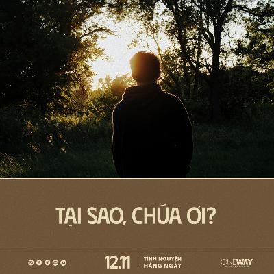 TẠI SAO, CHÚA ƠI? | Tĩnh Nguyện Hằng Ngày 12/11/2025