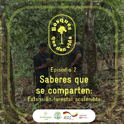 SABERES QUE SE COMPARTEN SABERES QUE SE COMPARTEN