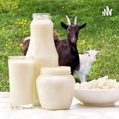 Goat milk