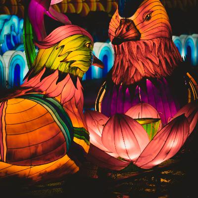 3maag #21 - A startup called Smytten