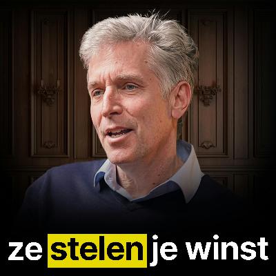 Aandelen Expert: De Harde Waarheid Over Beleggen in 2026 - Erik Mauritz #494