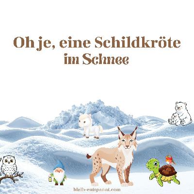 Traumreise für Kinder zum Einschlafen - Oh je, eine Schildkröte im Schnee - Tiere Geschichte mit Schneewichtel Traumreise für Kinder zum Einschlafen - Oh je, eine Schildkröte im Schnee - Tiere Geschichte mit Schneewichtel