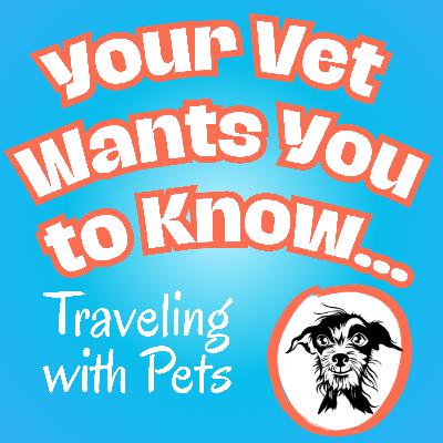 078 Travel with Dogs