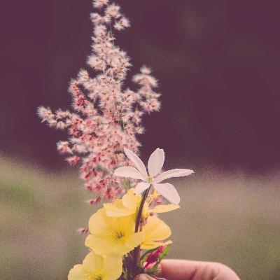 Día 8 'Abrazo amorosamente mi pasado' Día 8 'Abrazo amorosamente mi pasado'