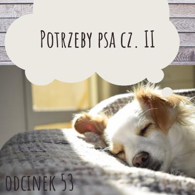053 - Potrzeby psa cz. II