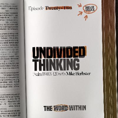 Undivided Thinking (Psalm 119:113-120)