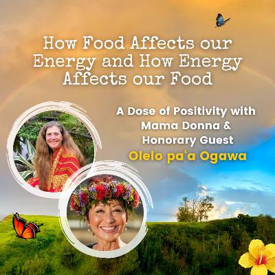 How Food Affects our Energy and How Energy Affects our Food