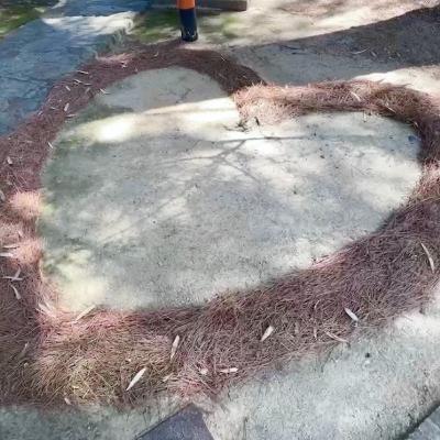 #16 恋バナ。−コミュニケーションについて−