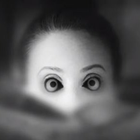 Os Diários Esquecidos - Histórias de Terror