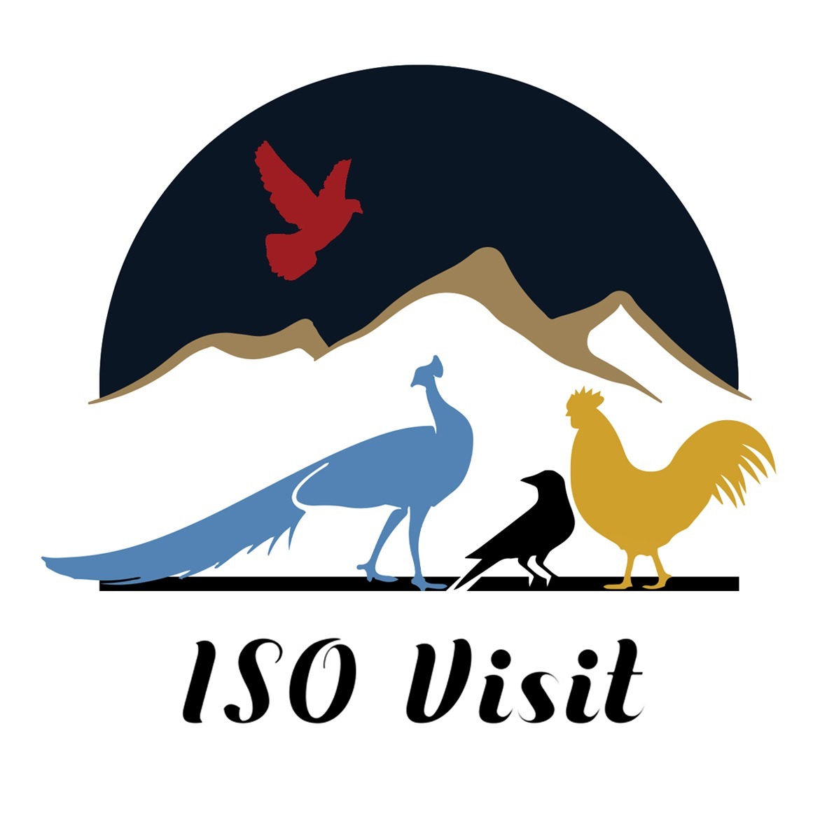 ISO Visit