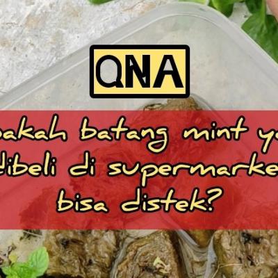 QNA#028 - Apakah batang mint yang dibeli di supermarket bisa distek?