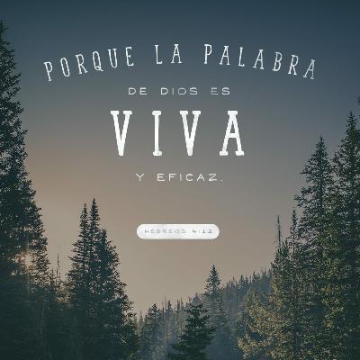 Las características de la palabra de Dios #2 Las características de la palabra de Dios #2