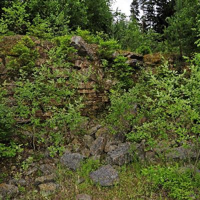Nach der Zerstörung: Biotop - Lebensraum Steinbruch