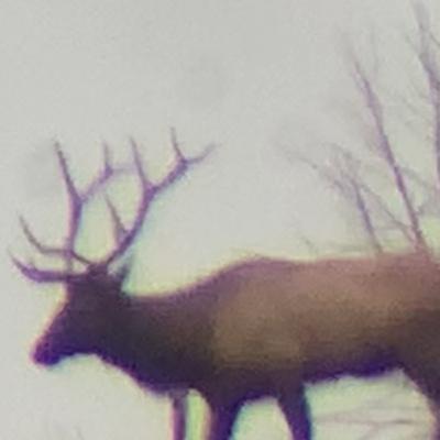 Bucks, Bulls, and rain
