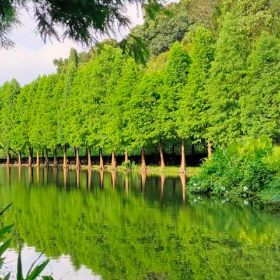 F17-1141118坤鐘校長高雄富國讀書會 活出奇蹟2