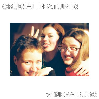 Kasetė Interviews: Pasimatymas su Crucial Features
