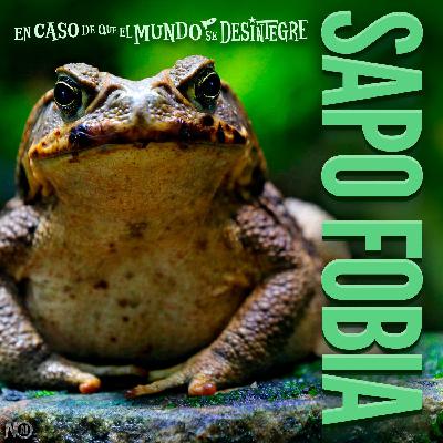 S27 Ep6152: Sapo Fobia