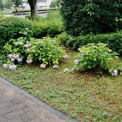 #20-2 『ケアと編集（白石正明）』読書会 / 「おもしろさ」を考える【3人の回】