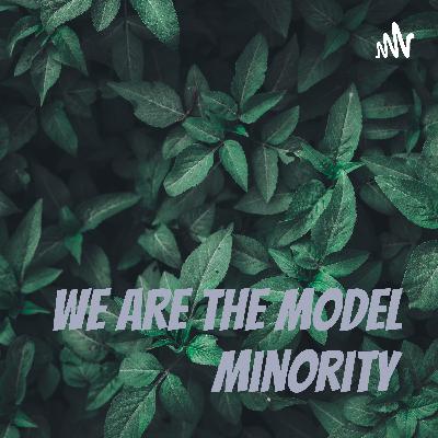 The Model Minority !?