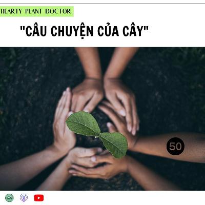 #50_"Câu chuyện của cây"