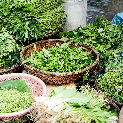 Rewilding Ourselves: Finding the Earthiness to Us Again Rewilding Ourselves: Finding the Earthiness to Us Again