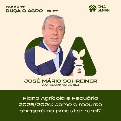 Plano Agrícola e Pecuário 2025/2026: Como o recurso chegará ao produtor rural? #177