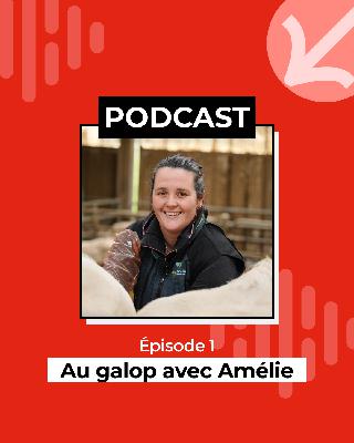 Episode 1 - Au galop avec Amélie