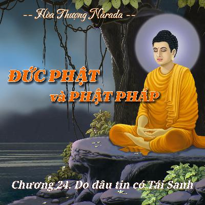 Đức Phật và Phật Pháp | Chương 24. Do đâu tin có Tái Sanh ? - Hòa Thượng Nārada