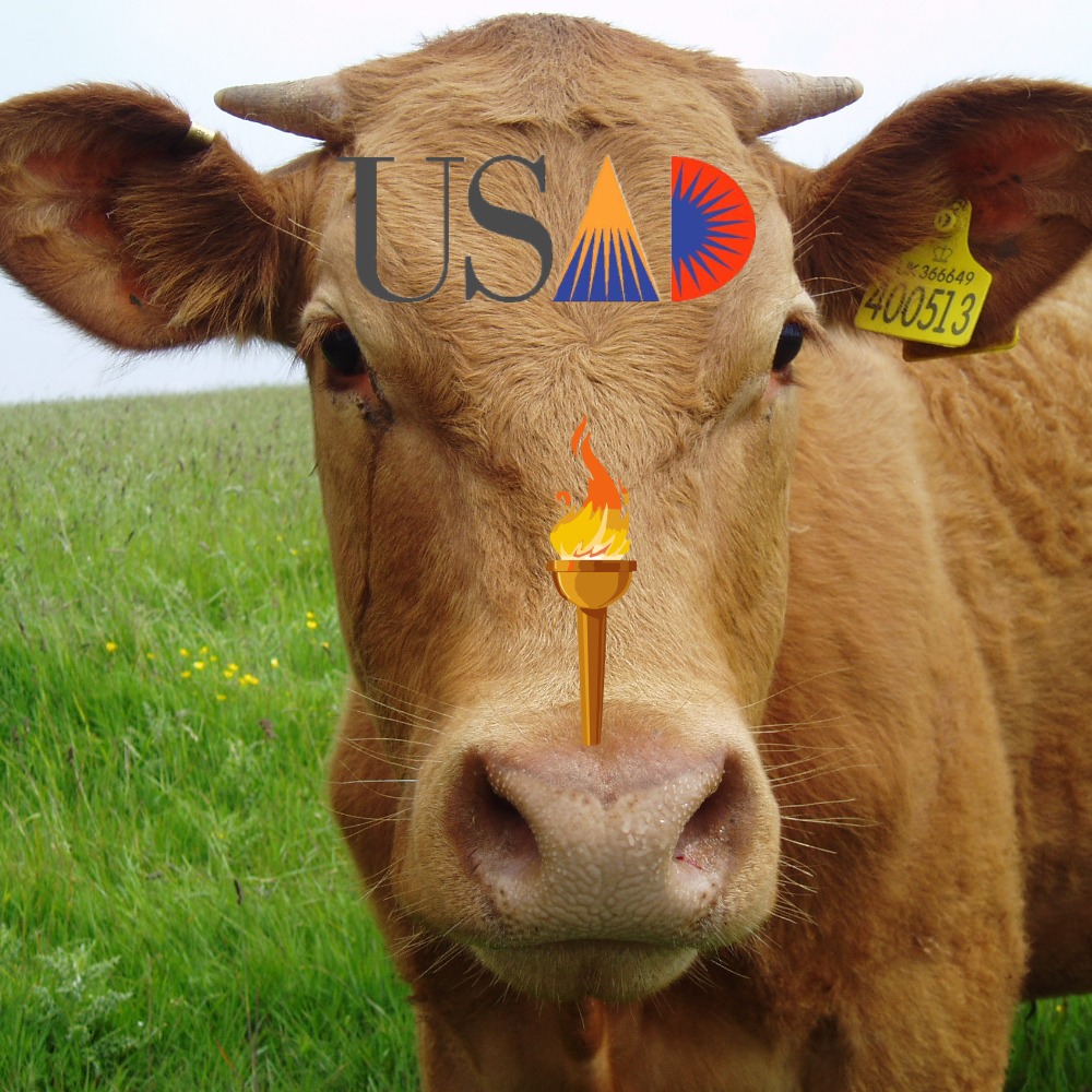 The Acdec Retirement Farm